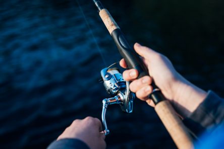 Best Saltwater Spinning Reels for Under $100 | Catch and Fillet