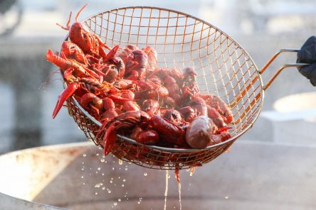 How To Use A Crawfish Trap Catch And Fillet - Best Diy Crawfish Trap
