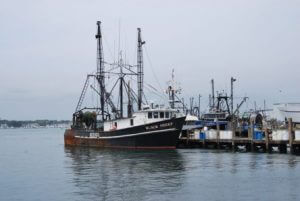 How Much Do Commercial Fishermen Make? | Catch and Fillet